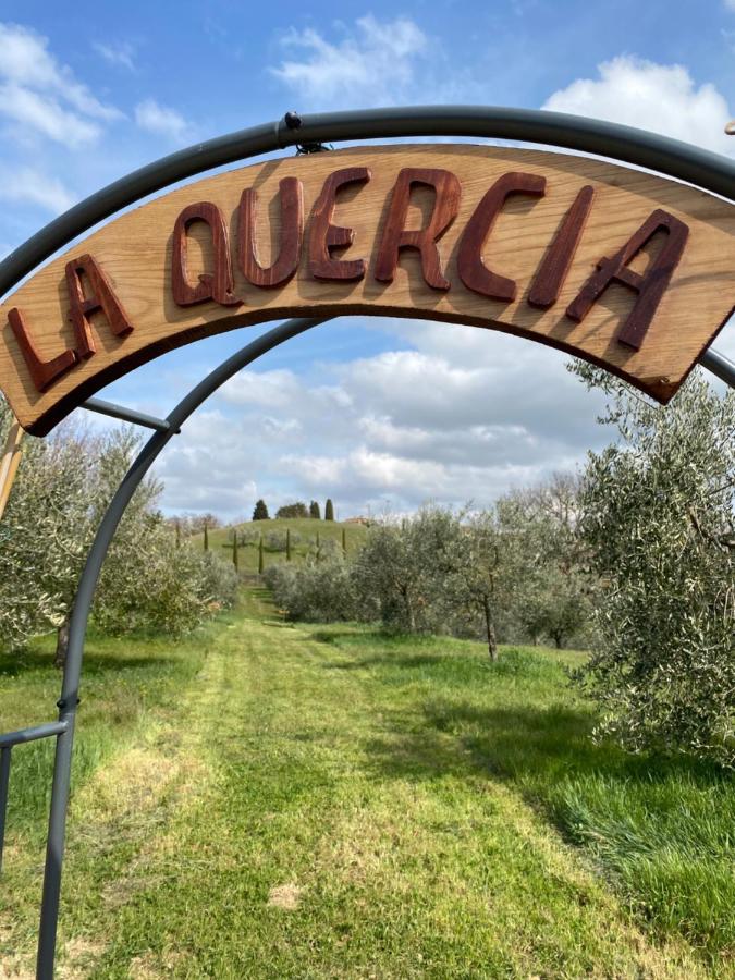 La Casina Della Quercia, Your Tuscan Oak Tree House Osteria Delle Noci Exterior foto
